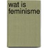 Wat is feminisme