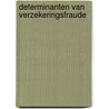 Determinanten van verzekeringsfraude door Verschuur