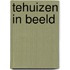 Tehuizen in beeld