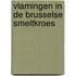 Vlamingen in de Brusselse smeltkroes