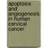 Apoptosis and angiogenesis in human cervical cancer