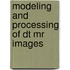 Modeling and processing of dt mr images