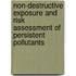 Non-destructive exposure and risk assessment of persistent pollutants