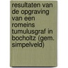 Resultaten van de opgraving van een Romeins tumulusgraf in Bocholtz (gem. Simpelveld) by T. de Groot