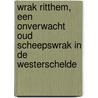 Wrak Ritthem, een onverwacht oud scheepswrak in de Westerschelde by A. Vos
