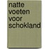 Natte voeten voor Schokland