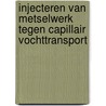 Injecteren van metselwerk tegen capillair vochttransport door C.A.M. Snepvangers