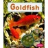 Goldfish