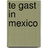 Te gast in Mexico