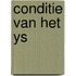 Conditie van het ys