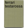 Ferrari testarossa door Shirley Hughes