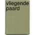 Vliegende paard