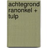 Achtegrond Ranonkel + tulp door M.Th. Rahder