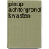 Pinup achtergrond kwasten