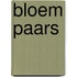 Bloem paars