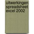 Uitwerkingen spreadsheet Excel 2002