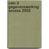 Calo 3 gegevenswerking Access 2002
