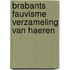 Brabants fauvisme verzameling van haeren