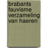 Brabants fauvisme verzameling van haeren by Jurek Becker
