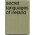 Secret languages of ireland