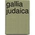 Gallia judaica