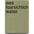 Wes foarsichtich watse