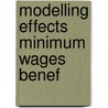 Modelling effects minimum wages benef door Graafland