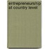 Entrepreneurship at country level