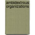 Ambidextrous Organizations
