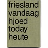 Friesland vandaag hjoed today heute door Molen