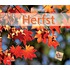 Herfst