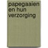 Papegaaien en hun verzorging