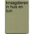 Knaagdieren in huis en tuin