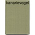 Kanarievogel