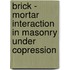 Brick - mortar interaction in masonry under copression