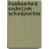 Haalbaarheid onderzoek schuldposities