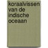 Koraalvissen van de Indische Oceaan