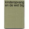 Kinderopvang en de wet BIG door Onbekend