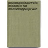 Peuterspeelzaalwerk: midden in het maatschappelijk veld by P. Van Bodengraven