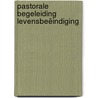 Pastorale begeleiding levensbeëindiging door A. Liegeois