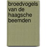 Broedvogels van de Haagsche Beemden door Jorien de Bruijn