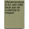 Effectenanalyse m.b.t. een Rode beuk aan de Zuideinde te Meppel by Jorien de Bruijn