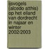 IJsvogels (Alcedo atthis) op het Eiland van Dordrecht in najaar en winter 2002/2003