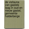 De visfauna van Gastels Laag in Oud en Nieuw Gastel, gemeente Halderberge door R. Haan