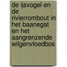 De IJsvogel en de Rivierrombout in het Baanegat en het aangrenzende wilgenvloedbos by Joyce Bruning