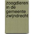 Zoogdieren in de gemeente Zwijndrecht