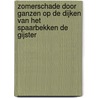 Zomerschade door ganzen op de dijken van het spaarbekken de Gijster by H.J. Faber