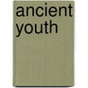 Ancient youth door Kleywegt