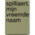 Spilliaert, mijn vreemde naam