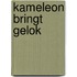 Kameleon bringt gelok